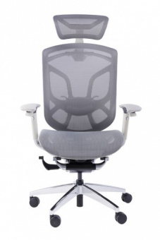 Премиум эргономичное кресло GT Chair Dvary X