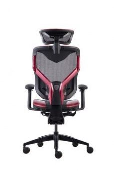 Премиум игровое кресло GT Chair VIDA X GR