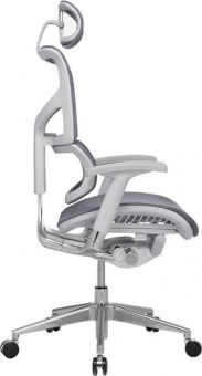 Эргономичное кресло Expert Sail SL-01G